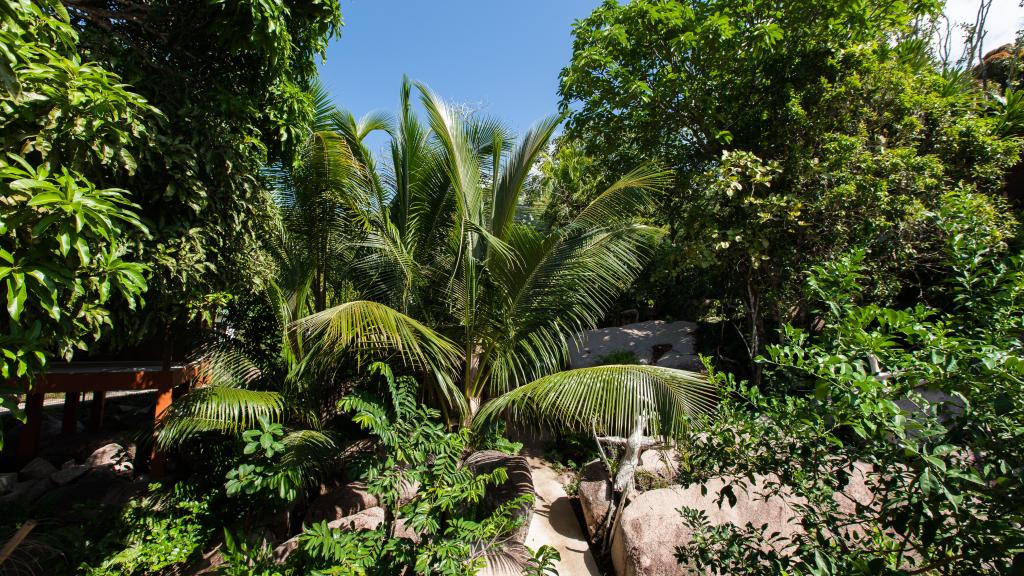 Photo 16: La Pointe Beach Huts - Praslin (Seychelles)