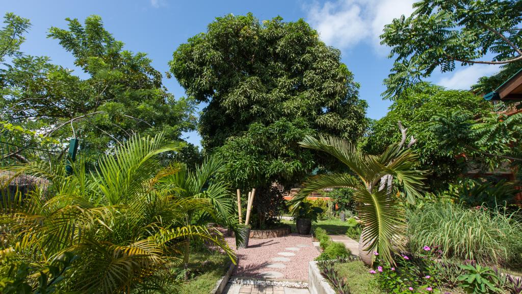 Photo 18: La Pointe Beach Huts - Praslin (Seychelles)