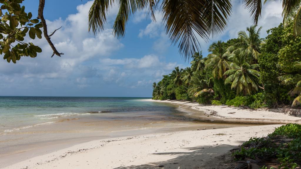 Photo 26: La Pointe Beach Huts - Praslin (Seychelles)