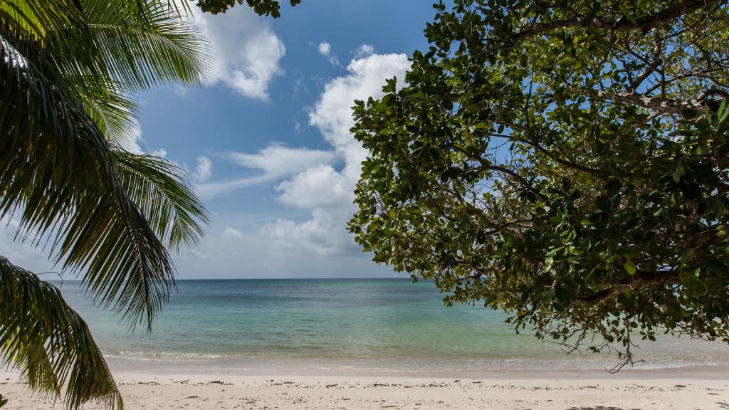 Photo 27: La Pointe Beach Huts - Praslin (Seychelles)