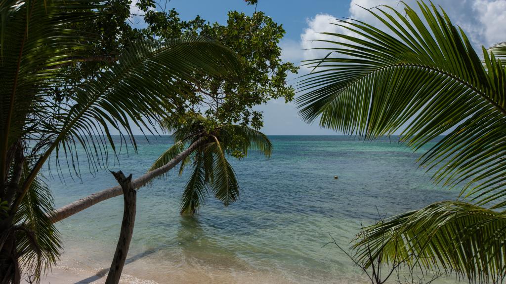 Photo 28: La Pointe Beach Huts - Praslin (Seychelles)