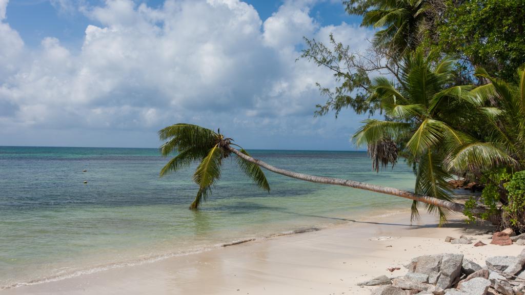 Photo 21: La Pointe Beach Huts - Praslin (Seychelles)