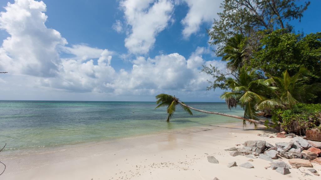 Photo 29: La Pointe Beach Huts - Praslin (Seychelles)