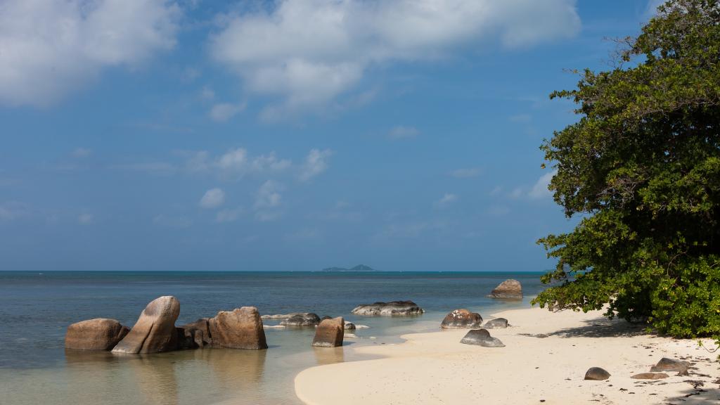 Photo 30: La Pointe Beach Huts - Praslin (Seychelles)