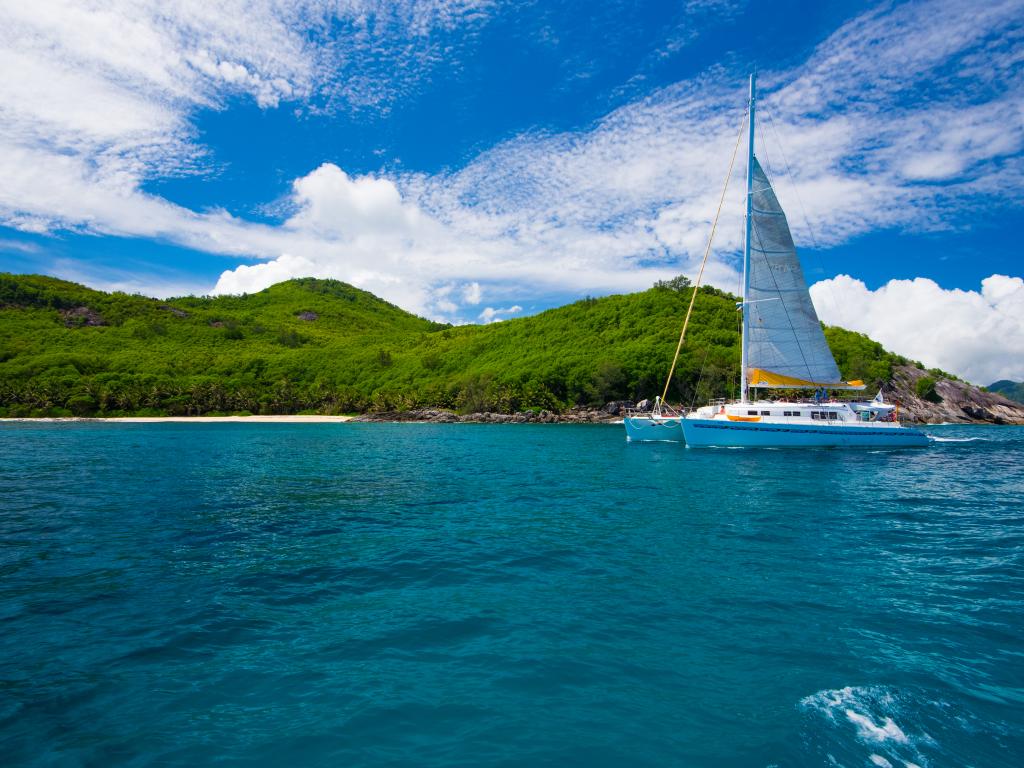 VPM Cocktail Praslin - Foto 7