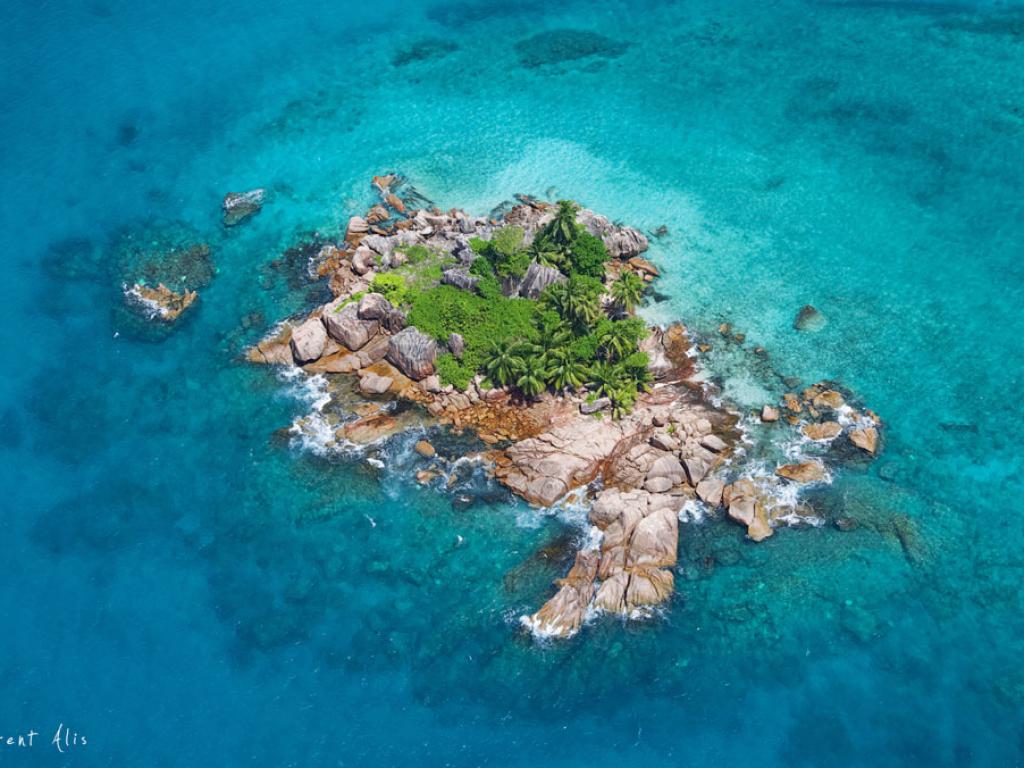 VPM Cocktail Praslin - Foto 9