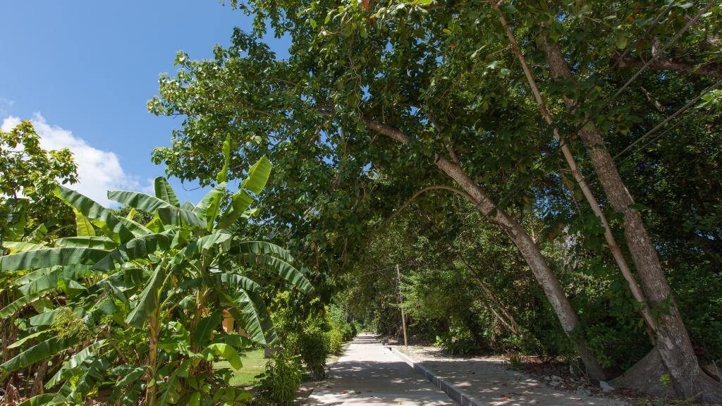 Foto 57: Tannette's Villa - La Digue (Seychelles)