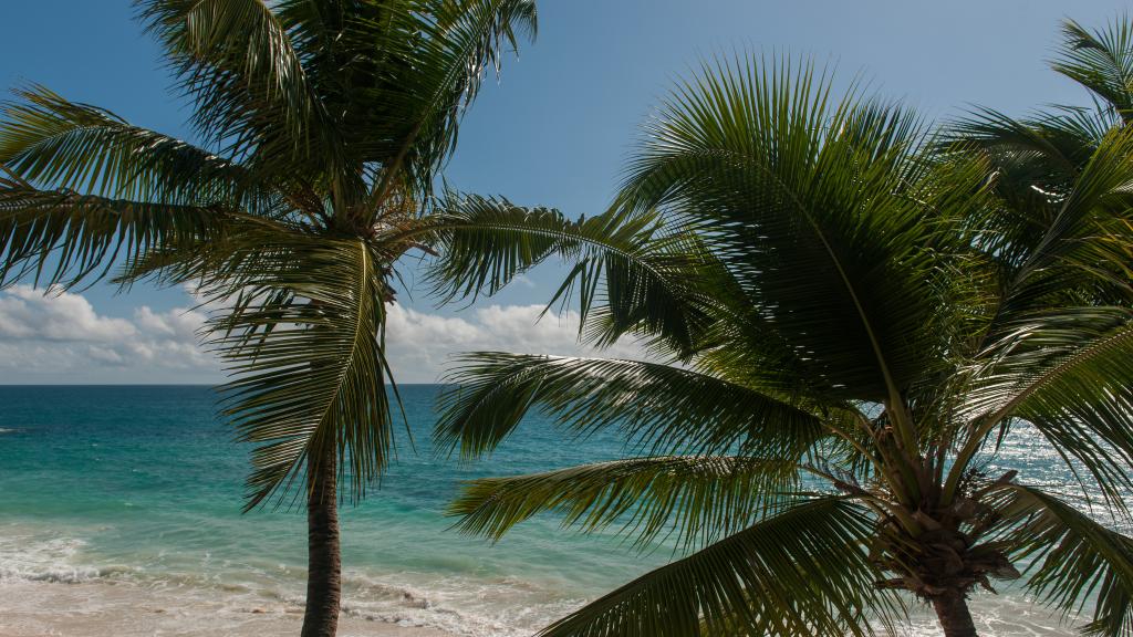 Photo 75: Carana Beach Hotel - Mahé (Seychelles)