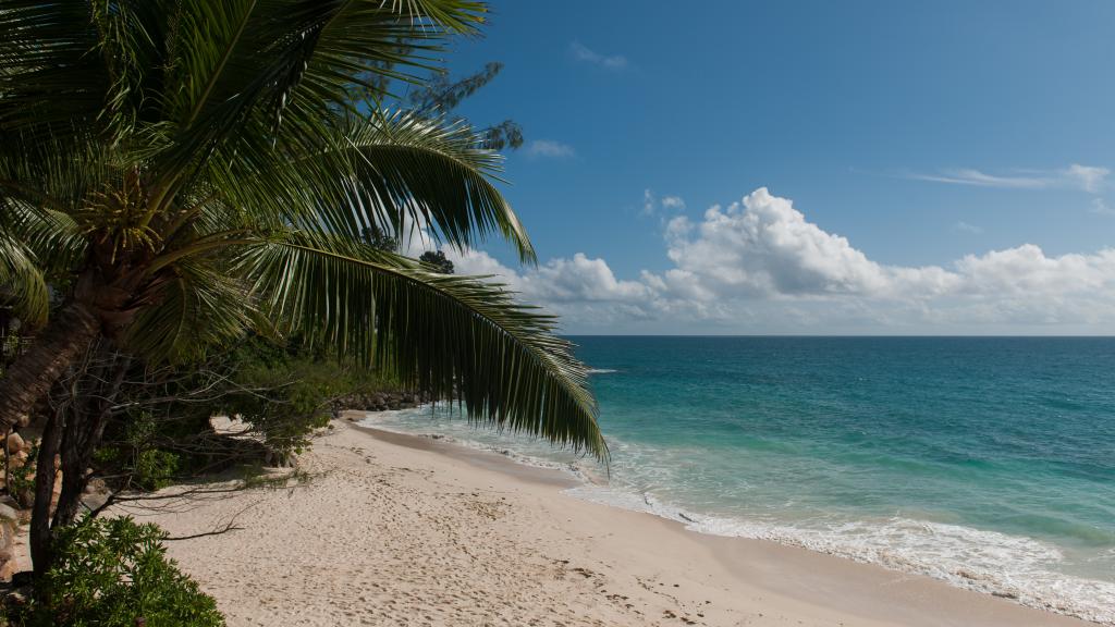 Photo 76: Carana Beach Hotel - Mahé (Seychelles)