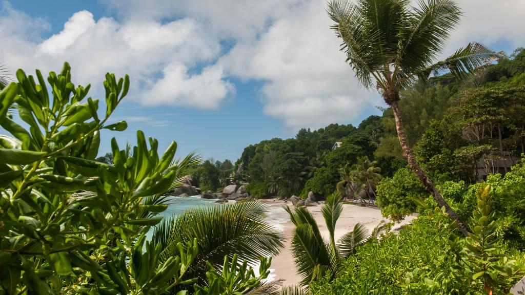 Foto 77: Carana Beach Hotel - Mahé (Seychellen)