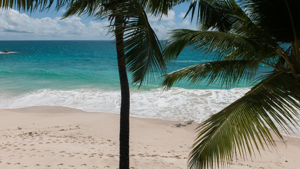 Photo 81: Carana Beach Hotel - Mahé (Seychelles)