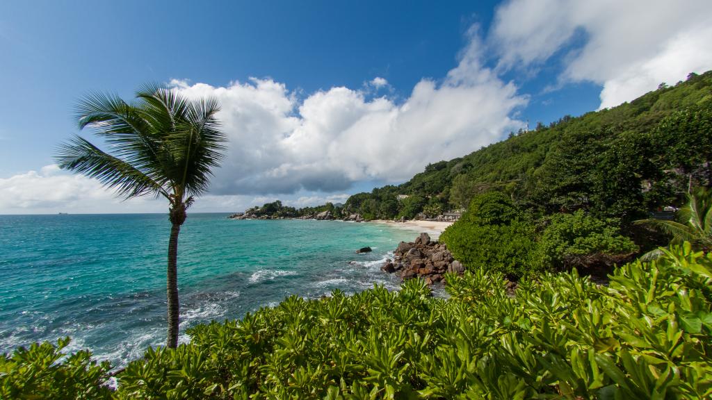 Photo 22: Carana Beach Hotel - Mahé (Seychelles)