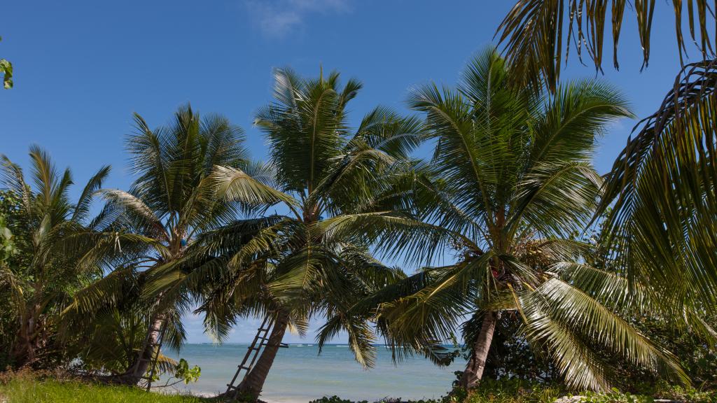 Foto 38: Chalets d'Anse Réunion - La Digue (Seychelles)