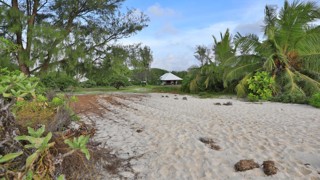 Foto 80: Bird Island Seychelles - Bird Island (Seychelles)