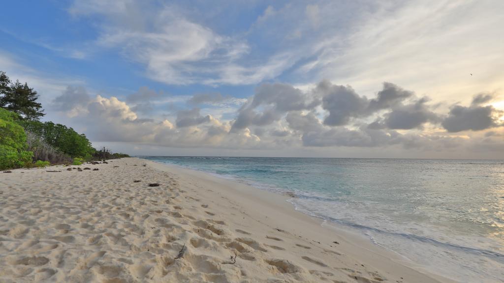 Foto 90: Bird Island Seychelles - Bird Island (Seychelles)