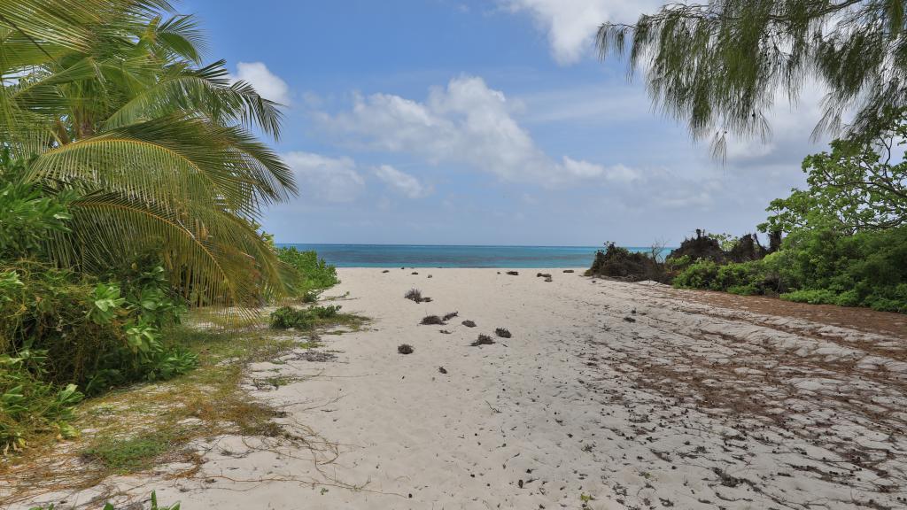 Foto 87: Bird Island Seychelles - Bird Island (Seychelles)