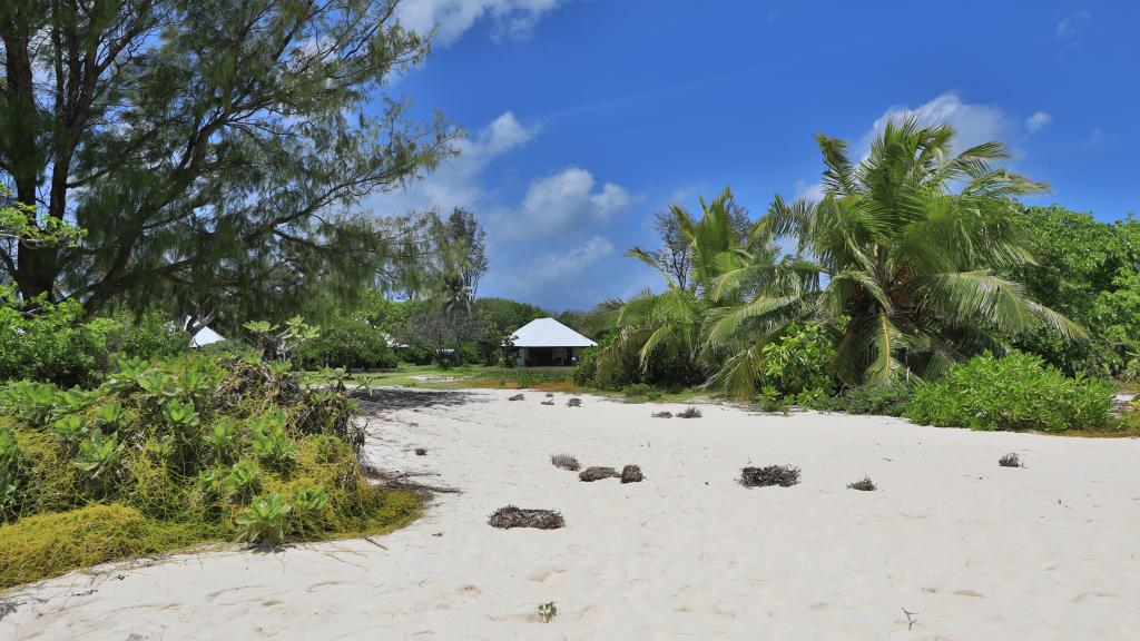 Foto 44: Bird Island Seychelles - Bird Island (Seychelles)