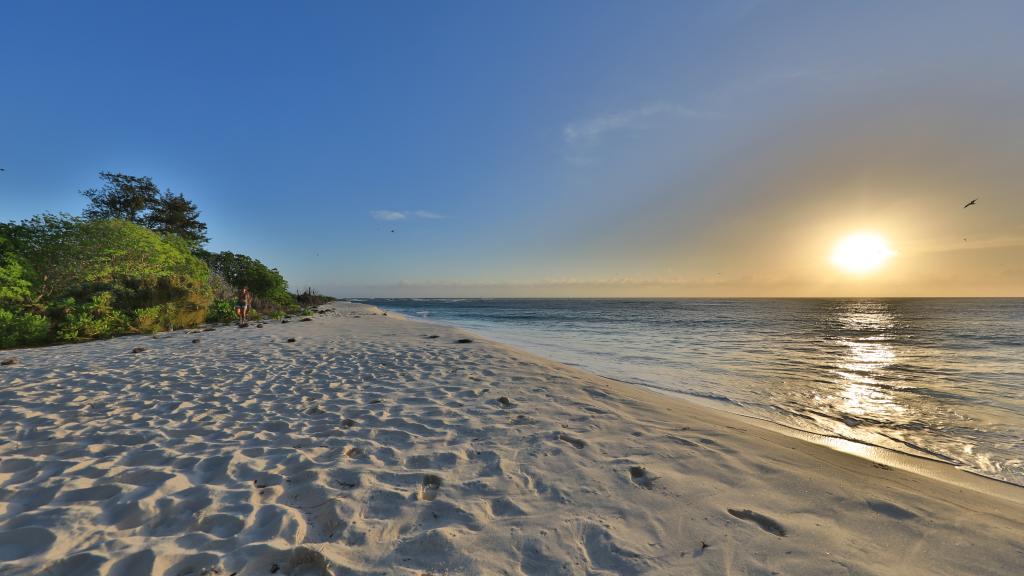 Foto 89: Bird Island Seychelles - Bird Island (Seychelles)