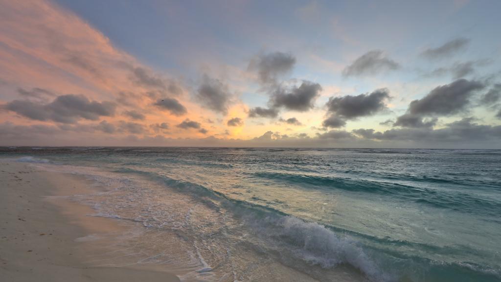 Foto 94: Bird Island Seychelles - Bird Island (Seychellen)