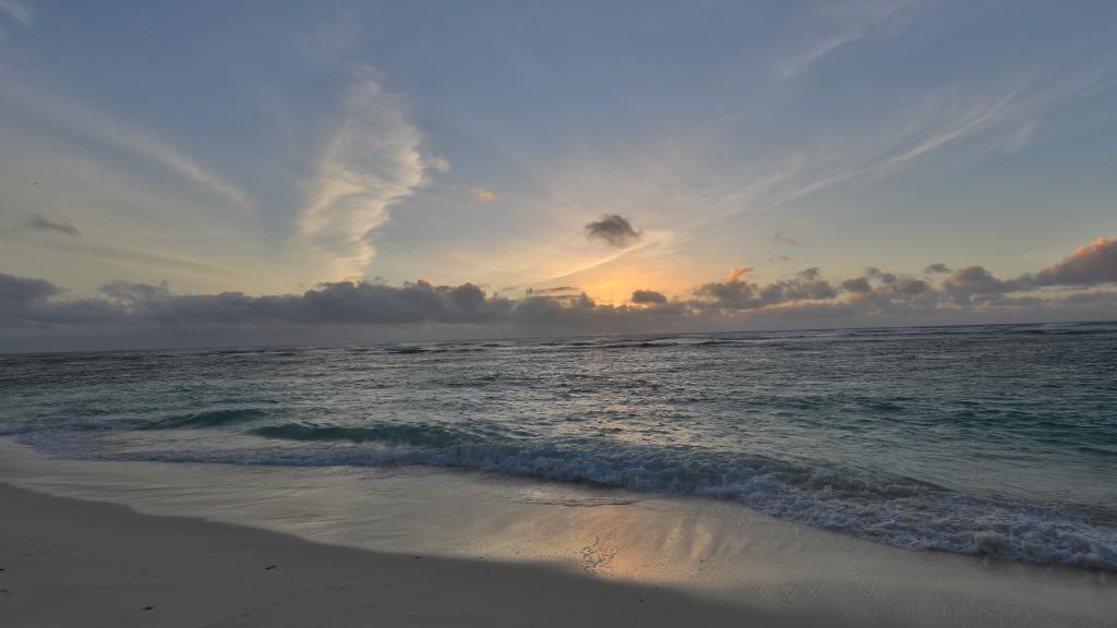 Photo 92: Bird Island Seychelles - Bird Island (Seychelles)