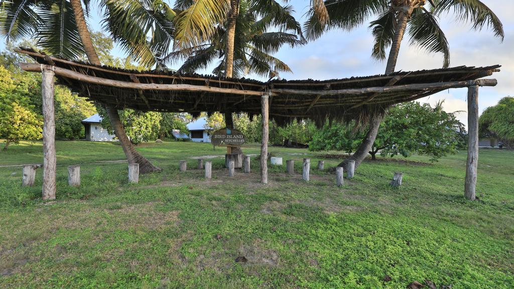 Foto 82: Bird Island Seychelles - Bird Island (Seychelles)