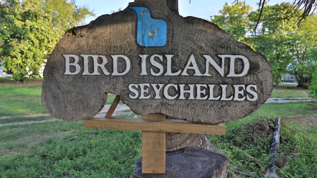 Foto 83: Bird Island Seychelles - Bird Island (Seychelles)