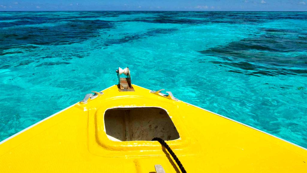 Foto 8: Bird Island Seychelles - Bird Island (Seychelles)