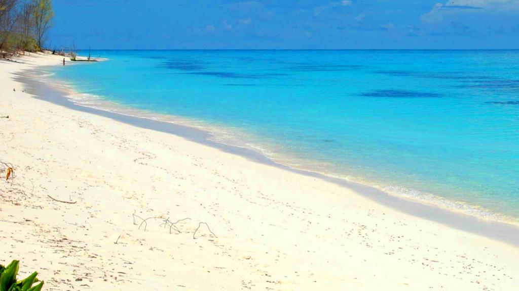 Foto 13: Bird Island Seychelles - Bird Island (Seychelles)