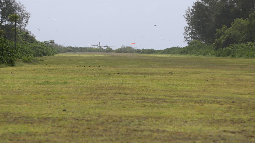 Foto 99: Bird Island Seychelles - Bird Island (Seychellen)