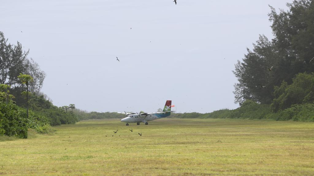 Foto 100: Bird Island Seychelles - Bird Island (Seychellen)