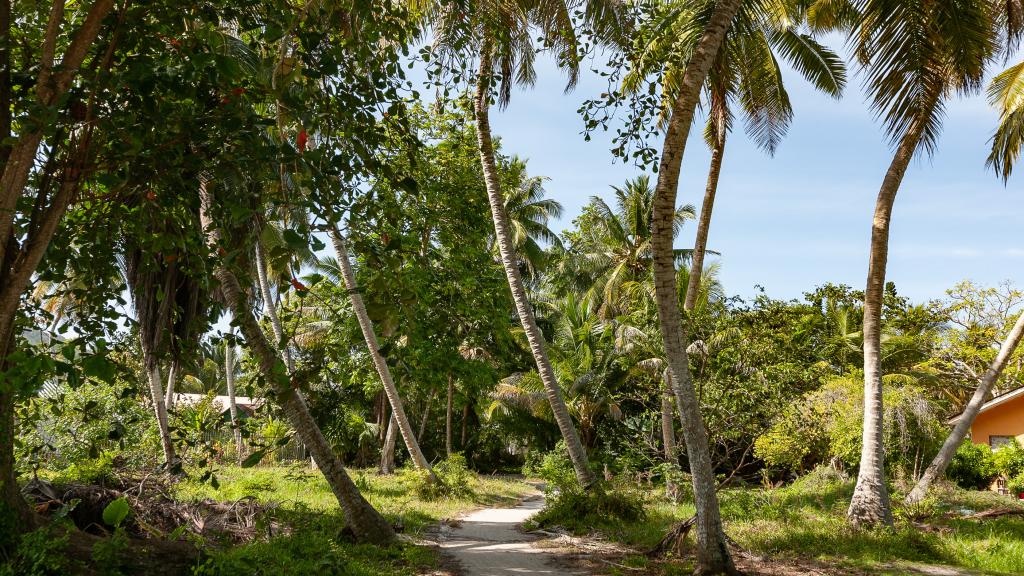 Foto 81: Agnes Cottage - La Digue (Seychelles)