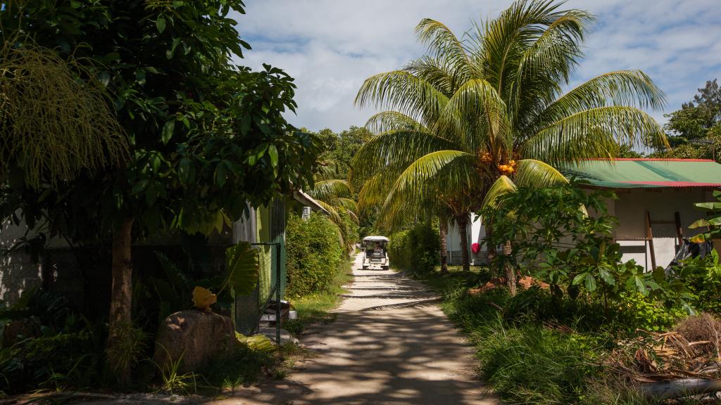 Foto 23: Linsen Self Catering Apartments - La Digue (Seychelles)