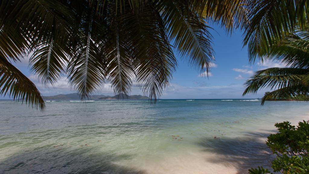 Foto 28: Linsen Self Catering Apartments - La Digue (Seychelles)