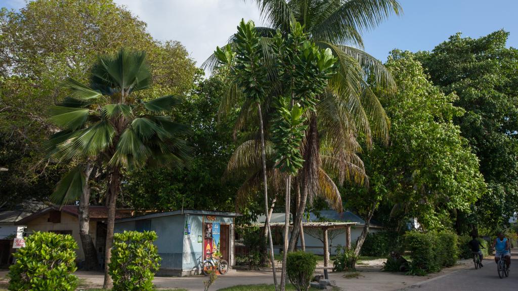 Foto 26: Linsen Self Catering Apartments - La Digue (Seychelles)