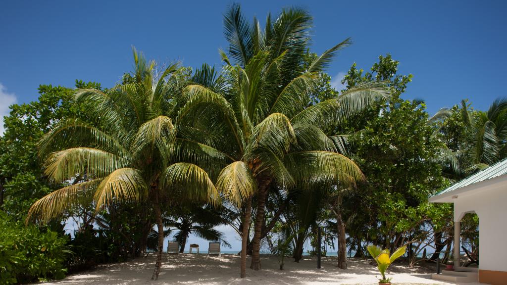 Photo 14: Villa Admiral - Praslin (Seychelles)