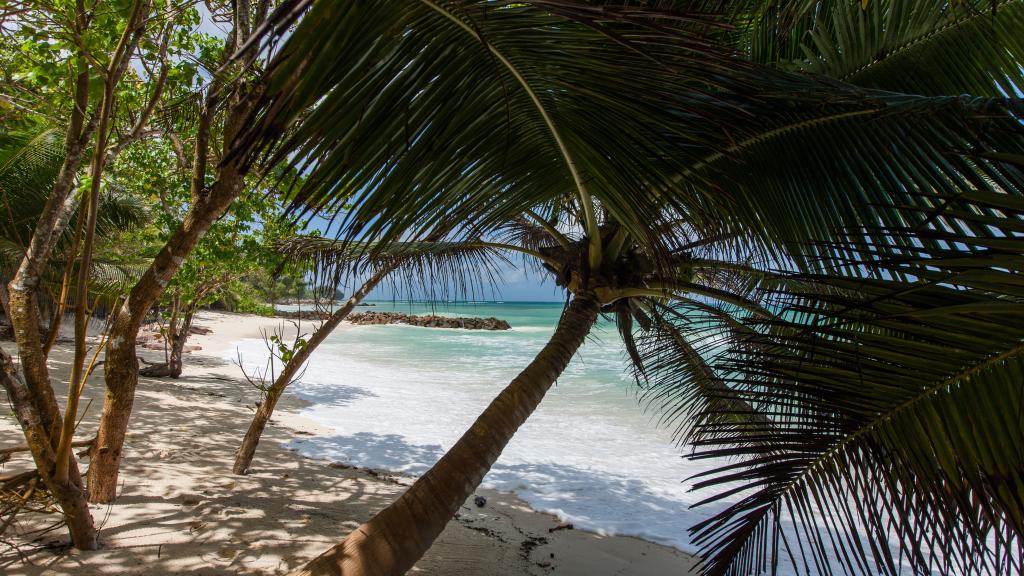 Photo 38: Villa Admiral - Praslin (Seychelles)