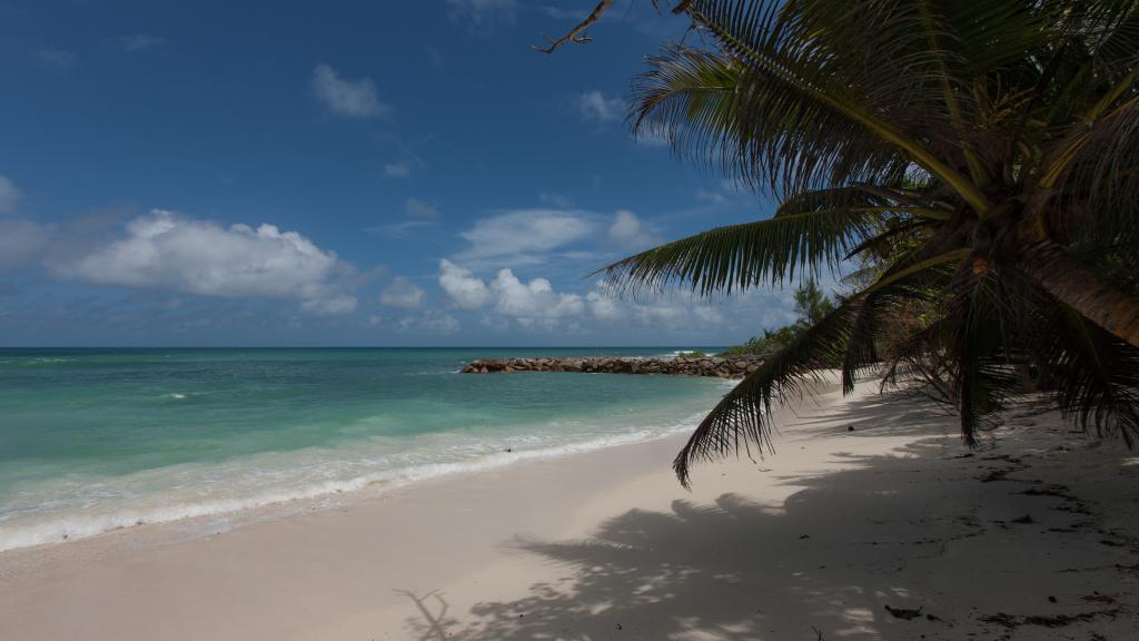 Photo 32: Villa Admiral - Praslin (Seychelles)