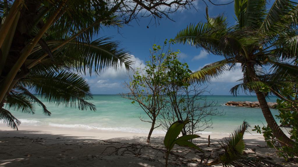 Photo 34: Villa Admiral - Praslin (Seychelles)