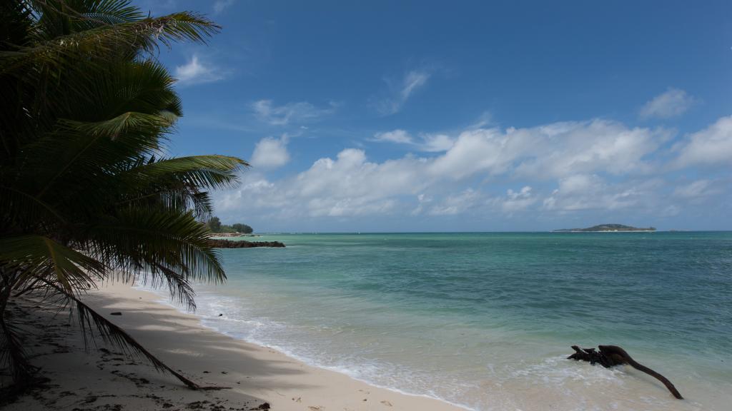 Photo 36: Villa Admiral - Praslin (Seychelles)