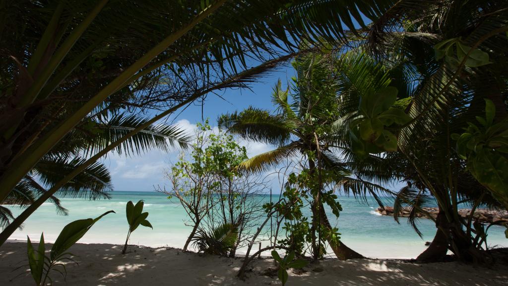 Photo 37: Villa Admiral - Praslin (Seychelles)