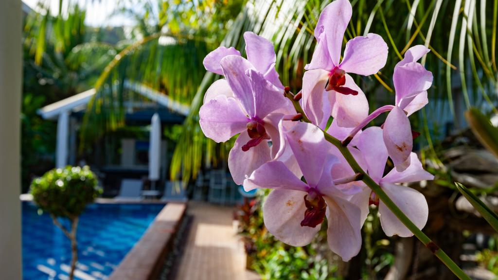 Photo 51: Villa Charme De L'ile - La Digue (Seychelles)