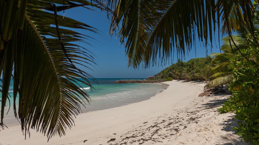 Photo 33: Villa Belle Plage - Praslin (Seychelles)