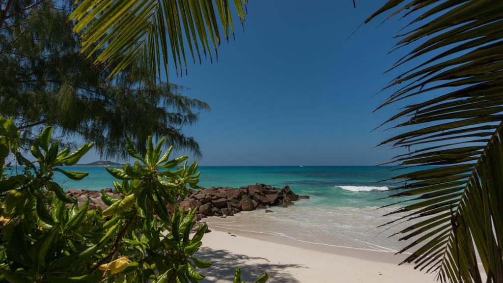 Photo 34: Villa Belle Plage - Praslin (Seychelles)