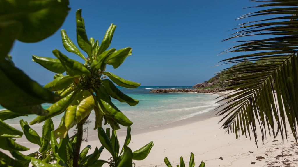 Foto 17: Villa Belle Plage - Praslin (Seychelles)