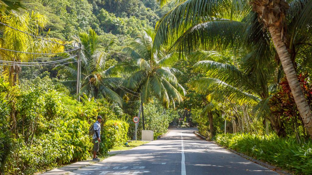 Photo 24: Eden Hills Residence - Mahé (Seychelles)