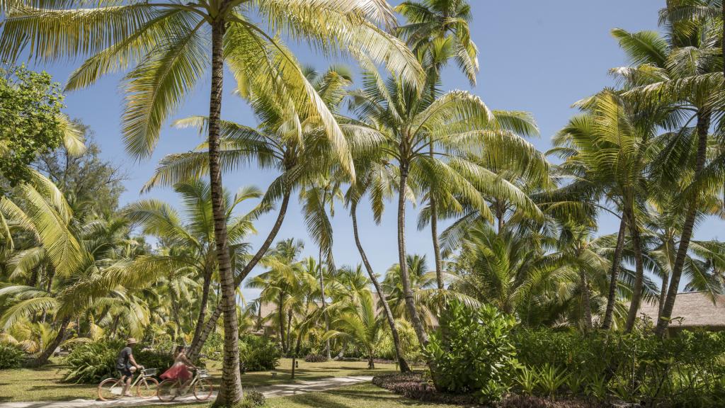 Foto 20: Four Seasons Resort Desroches Island - Desroches Island (Seychelles)