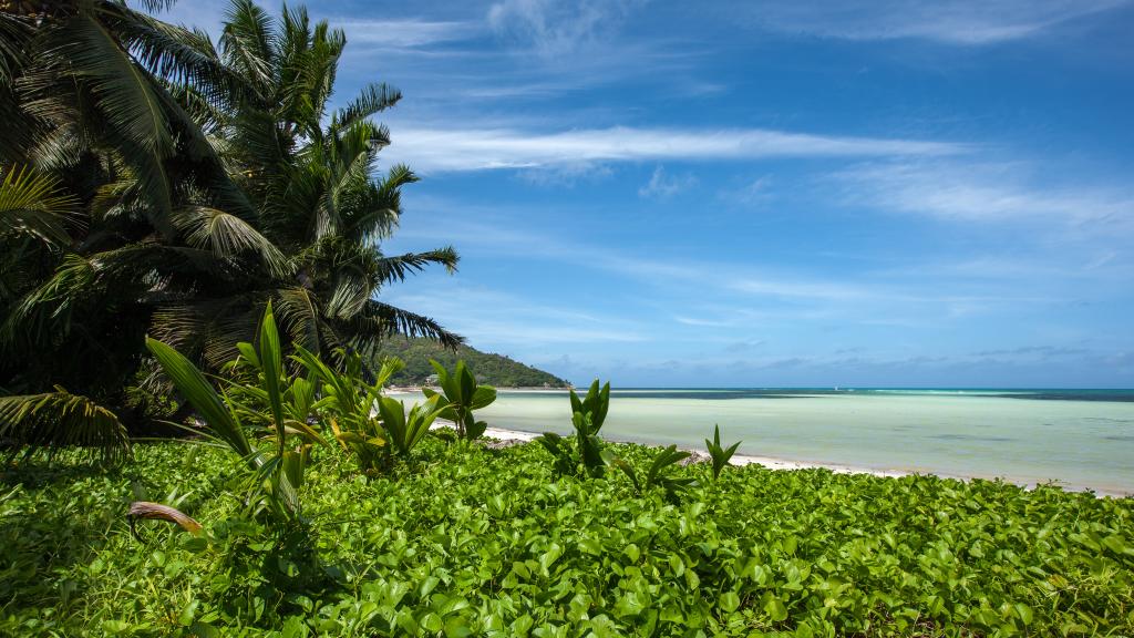 Foto 7: Beach Villa Guesthouse - Praslin (Seychelles)