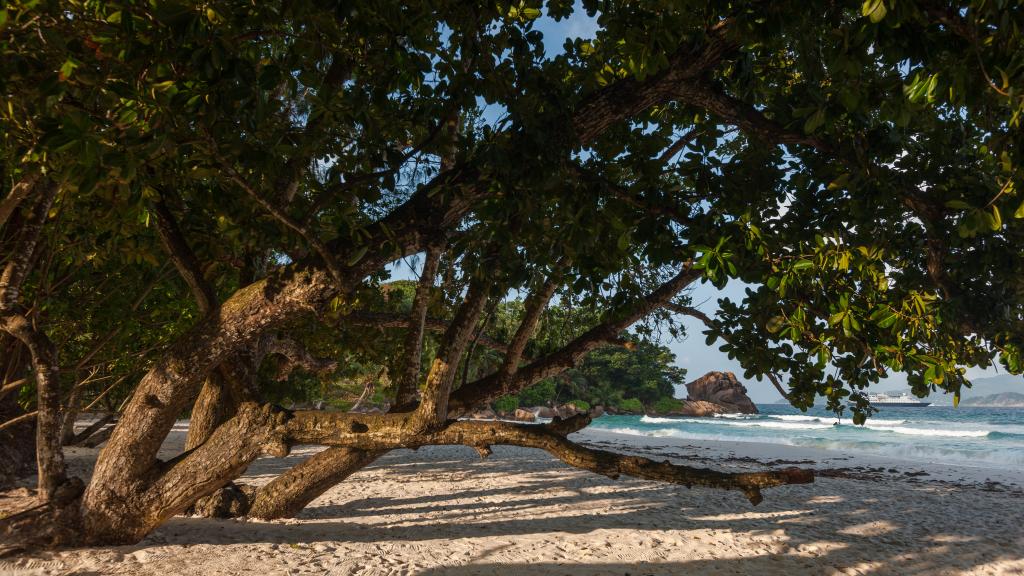 Foto 34: Anse Severe Beach Villa - La Digue (Seychelles)