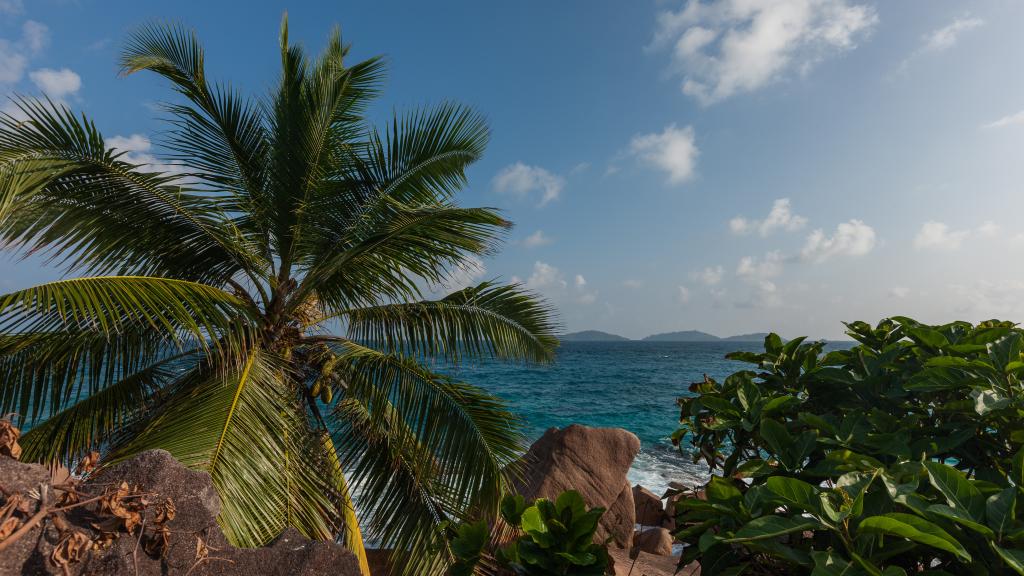 Photo 45: Anse Severe Beach Villa - La Digue (Seychelles)