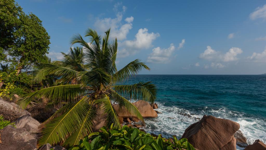 Photo 46: Anse Severe Beach Villa - La Digue (Seychelles)